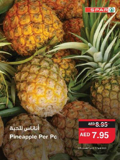 عروض الطازج من سبار