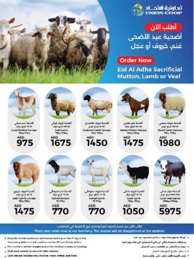عروض الأضحيه من جمعية الإتحاد