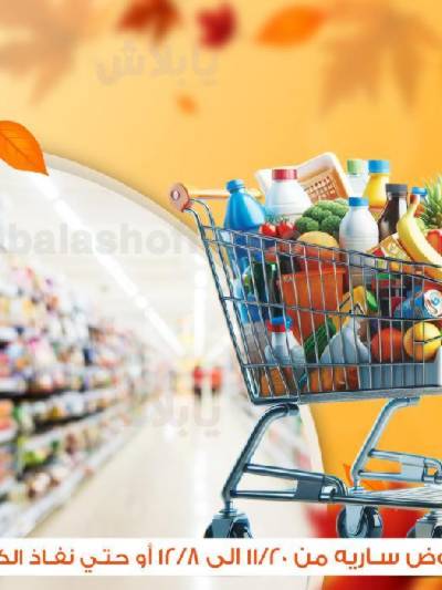 عروض التوفير من جملة ماركت