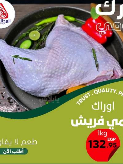 عروض الفريش من المحلاوى