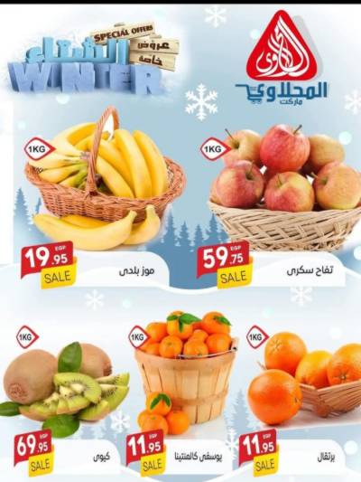 عروض حصريه من المحلاوى