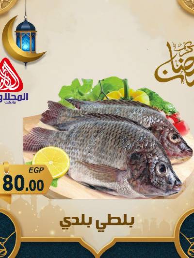 عروض شادر الاسماك من المحلاوى