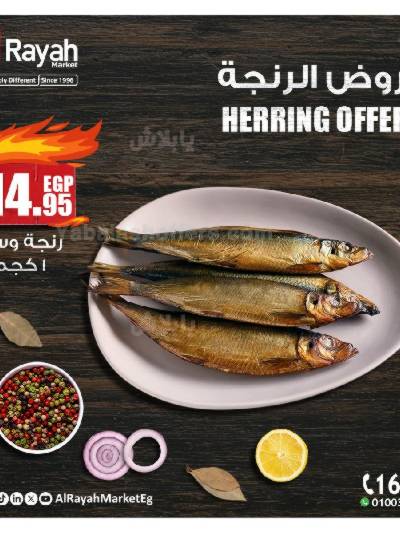 عروض رنجة العيد من الرايه ماركت