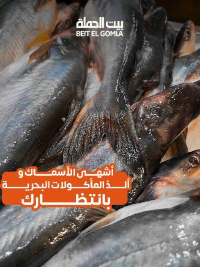 عروض الثلاثاء على الاسماك من بيت الجمله
