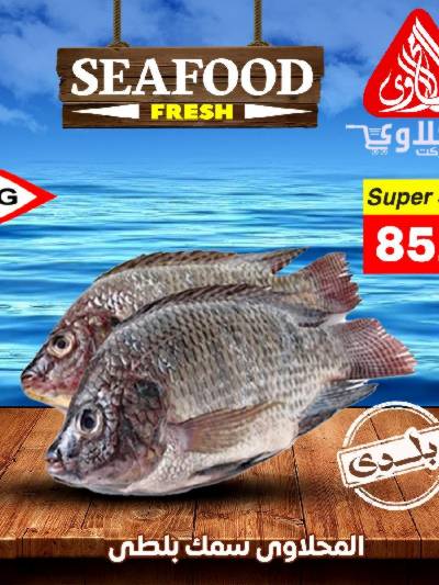 عروض شادر الاسماك من المحلاوى