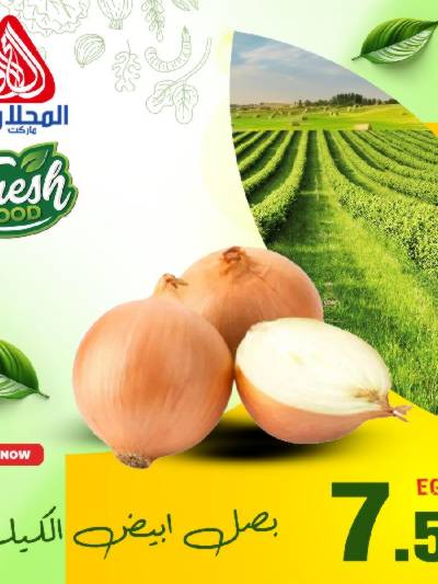 عروض الفريش من المحلاوي