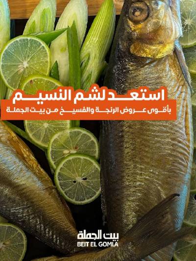 عروض الربيع من بيت الجمله
