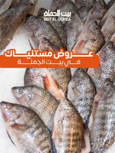 عروض الثلاثاء على الاسماك من بيت الجمله