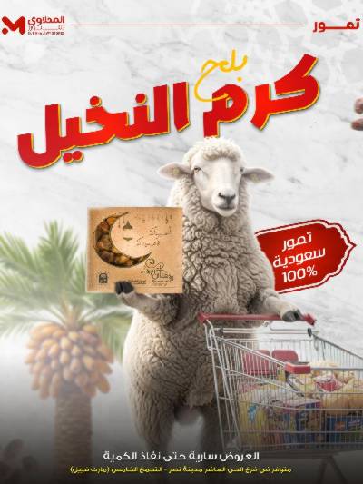 عروض كرم النخيل  من المحلاوى