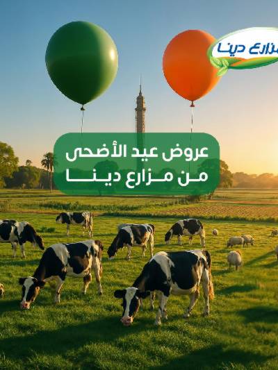 عروض عيد الاضحي من مزارع دينا