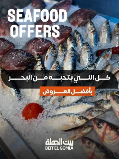 عروض الثلاثاء على الاسماك من بيت الجمله