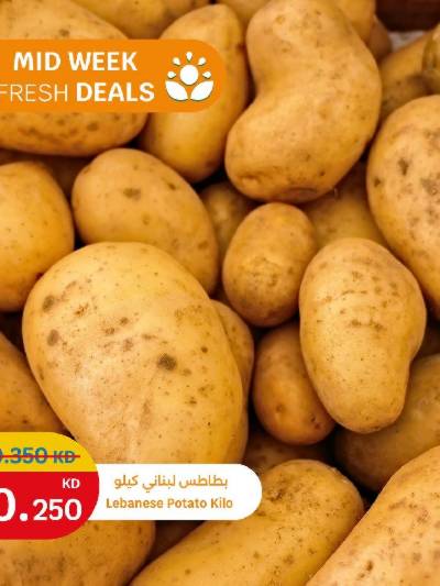 عروض الطازج من سيتى هايبر