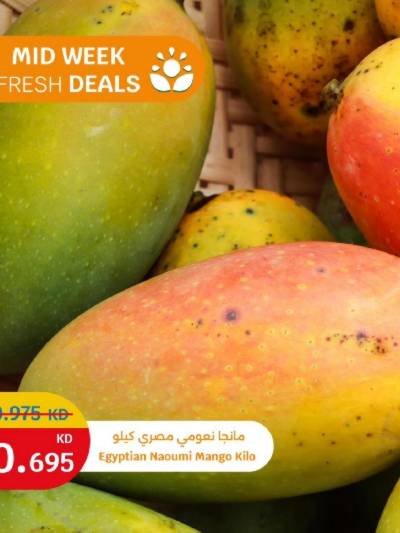 عروض الطازج من سيتى هايبر