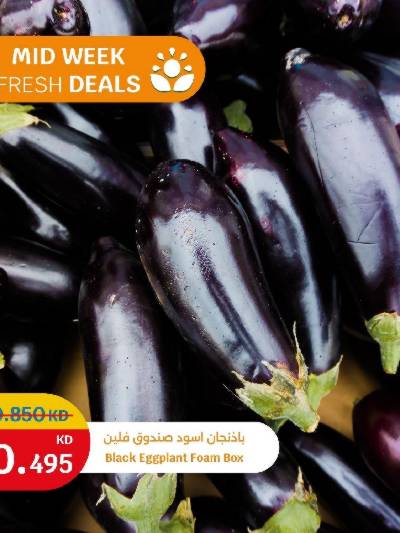 عروض الطازج من سيتى هايبر