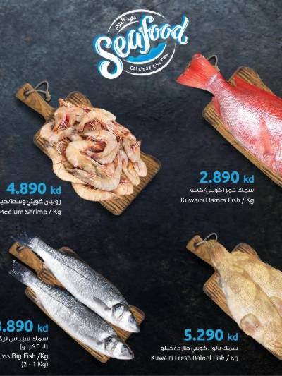 عروض الأسماك من مركز سلطان