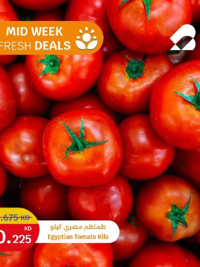 عروض الطازج من سيتى هايبر