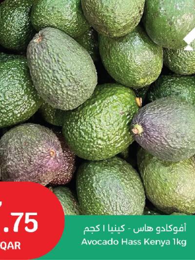 عروض الطازج من سيتى هايبر
