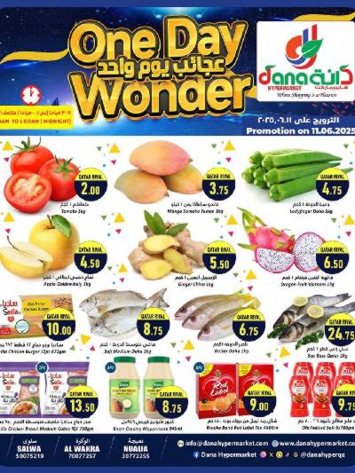 عروض اليوم الواحد من دانة 
