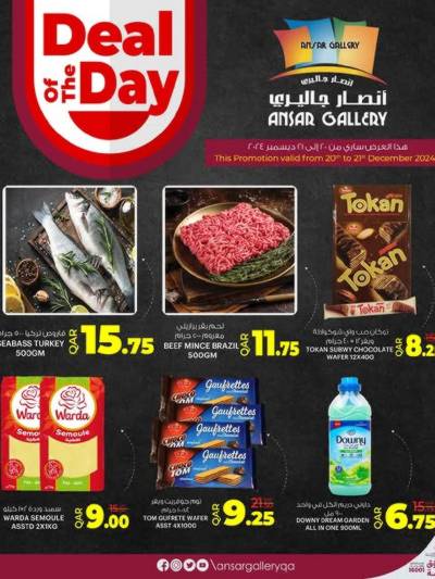 عرض اليوم الواحد من أنصار جاليرى