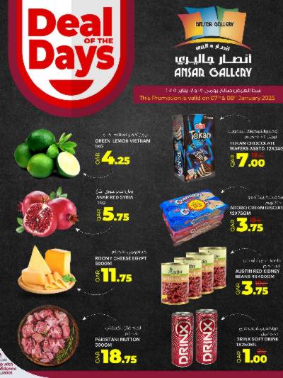 عرض اليوم الواحد من أنصار جاليرى