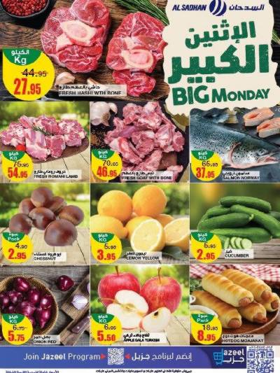 عرض اليوم الواحد من السدحان