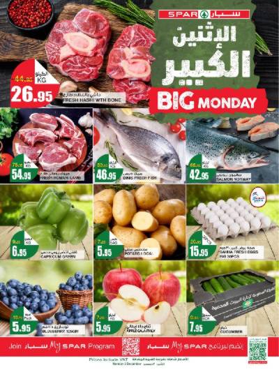 عرض اليوم الواحد من سبار