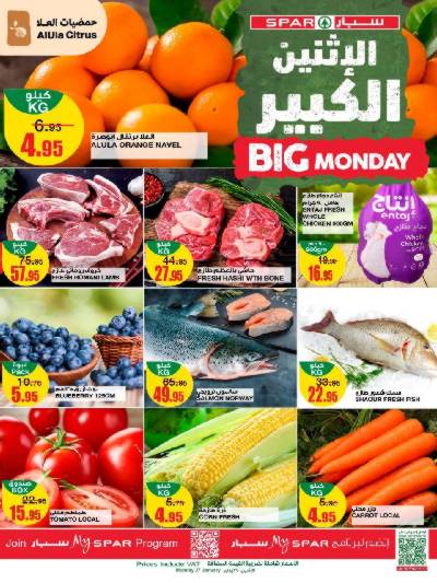 عرض اليوم الواحد من سبار