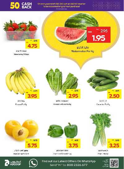 العروض الاسبوعيه من ميغا مارت 2