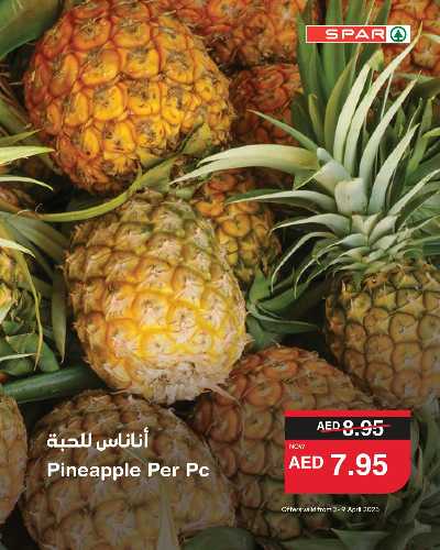 عروض الطازج من سبار 1