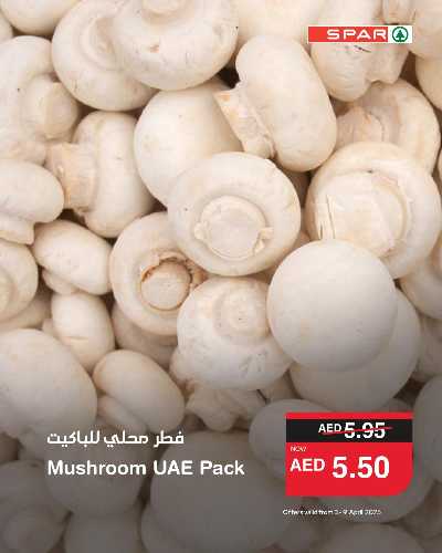 عروض الطازج من سبار 1