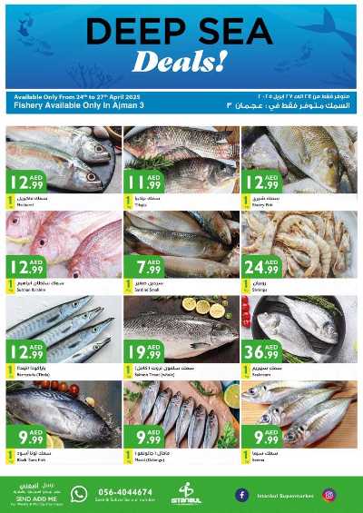 العروض الاسبوعيه من اسطنبول 17