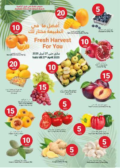 عروض الاسبوع  من جراند الامارات للتسوق  2