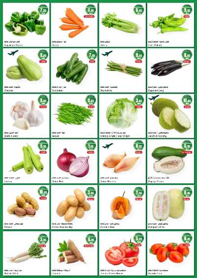 عروض الطازج من المايا 4