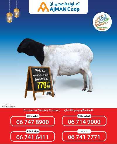 عروض الأضحيه من جمعية عجمان 2