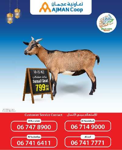 عروض الأضحيه من جمعية عجمان 3