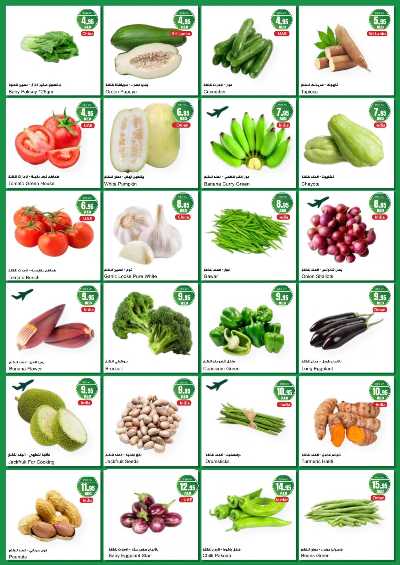 عروض الطازج من المايا 4