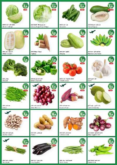 عروض الطازج من المايا 4