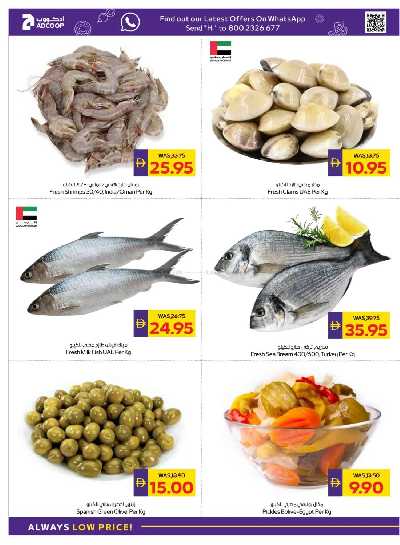 العروض الاسبوعيه من ميغا مارت 6