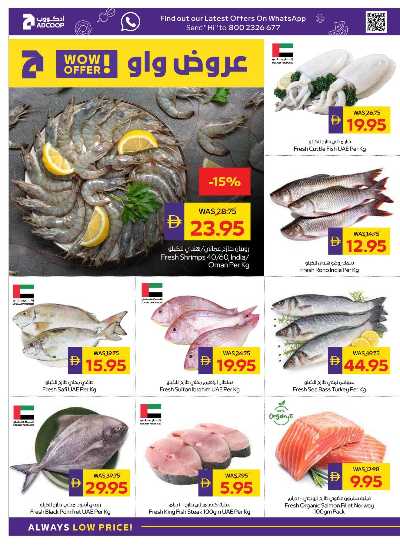 العروض الاسبوعيه من ادكوب 6