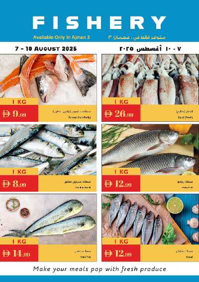 العروض الاسبوعيه من اسطنبول 26