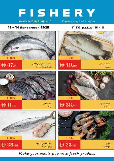 العروض الاسبوعيه من اسطنبول 24