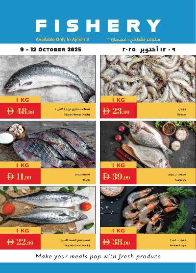 العروض الاسبوعيه من اسطنبول 17