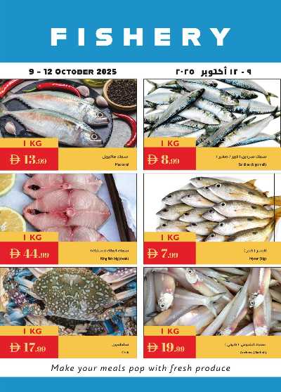 العروض الاسبوعيه من اسطنبول 18