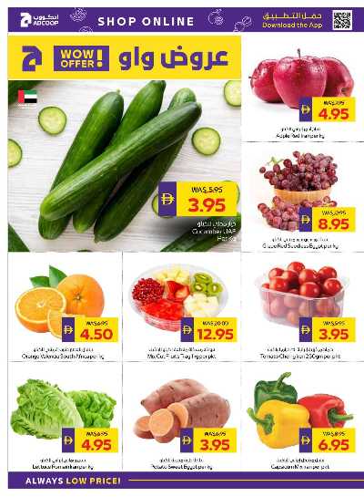 العروض الاسبوعيه من ادكوب 2