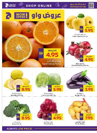 العروض الاسبوعيه من ادكوب 2