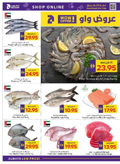 العروض الاسبوعيه من ادكوب 4