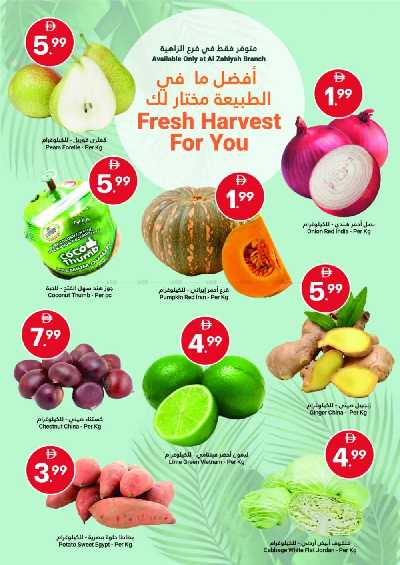 عروض الطازج من جراند الامارات للتسوق  2