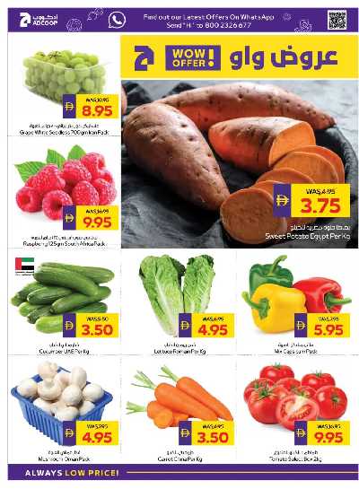 العروض الاسبوعيه من ادكوب 2