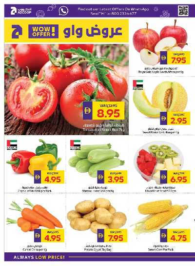 العروض الاسبوعيه من ادكوب 2