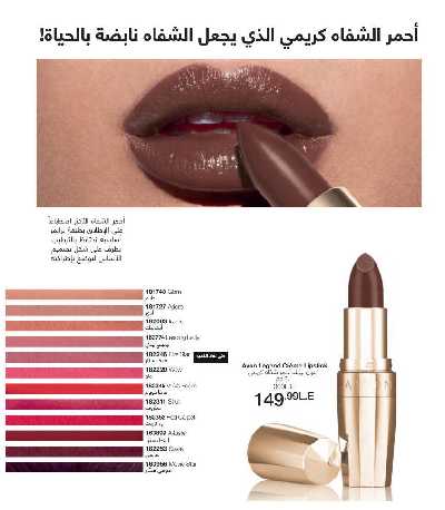 كتالوج إيفون لشهر ديسمبر 50